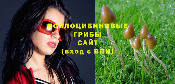 марки lsd Мегион