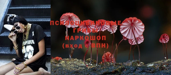 твердый Медвежьегорск
