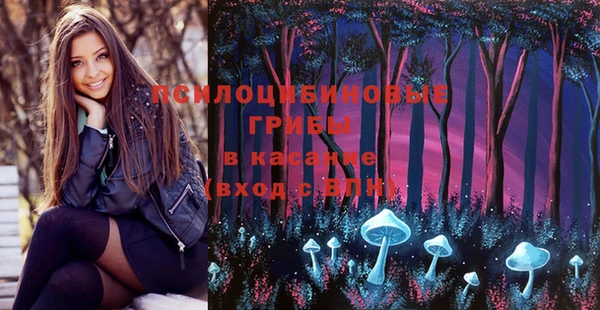 ГАЛЛЮЦИНОГЕННЫЕ ГРИБЫ Медногорск