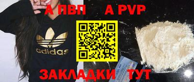 гидра Гатчина
