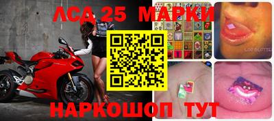 стафф Гай