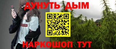 стафф Гай