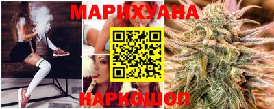 стафф Гай