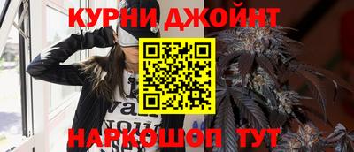 гидра Гатчина