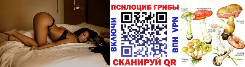 наркотики  Гусь-Хрустальный  Галлюциногенные грибы Cubensis 