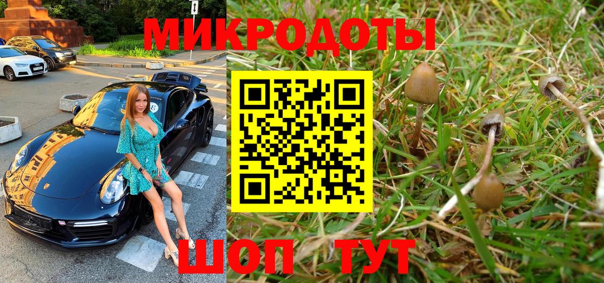 Псилоцибиновые грибы Cubensis  Вход с VPN  Галлюциногенные грибы ЛСД  Гусь-Хрустальный 