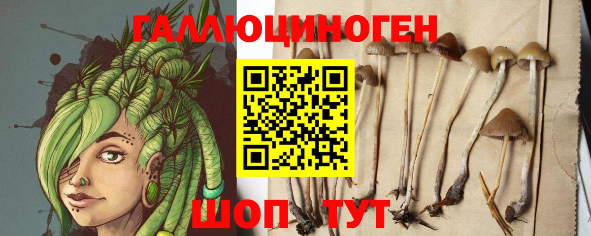 где купить наркотик  Гусь-Хрустальный  Галлюциногенные грибы прущие грибы 
