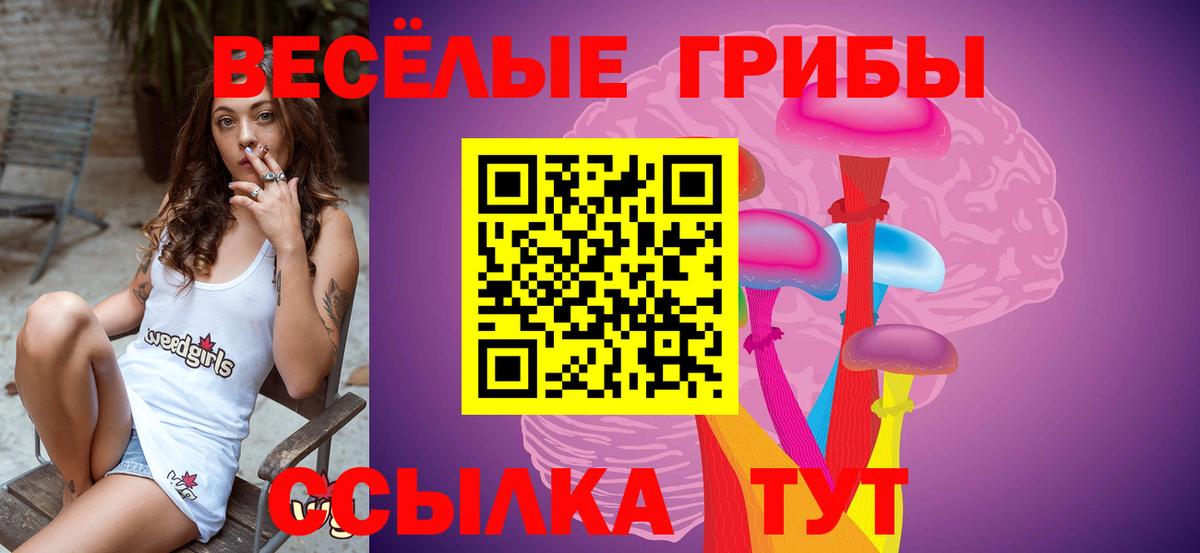 Псилоцибиновые грибы Cubensis Гусь-Хрустальный